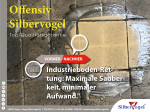 Ofensiv Silbervogel