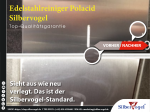 edelstahreiniger-polacid-silbervogel